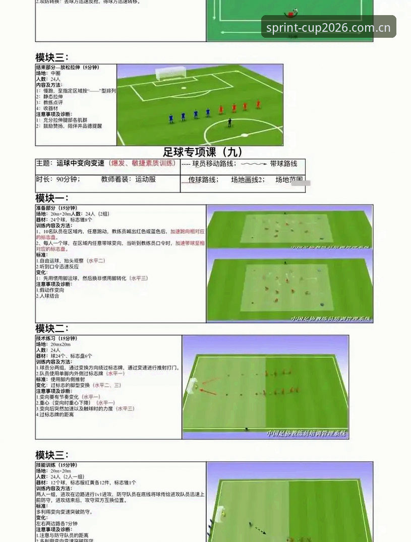 世界杯门票怎么抢攻略 欧联杯冠军教练埃梅里5冠攻略教程:从维拉称霸看足球赛事观赏技巧